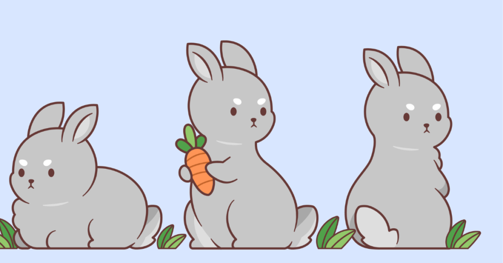 Rabbit Puns