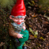 Gnome Puns