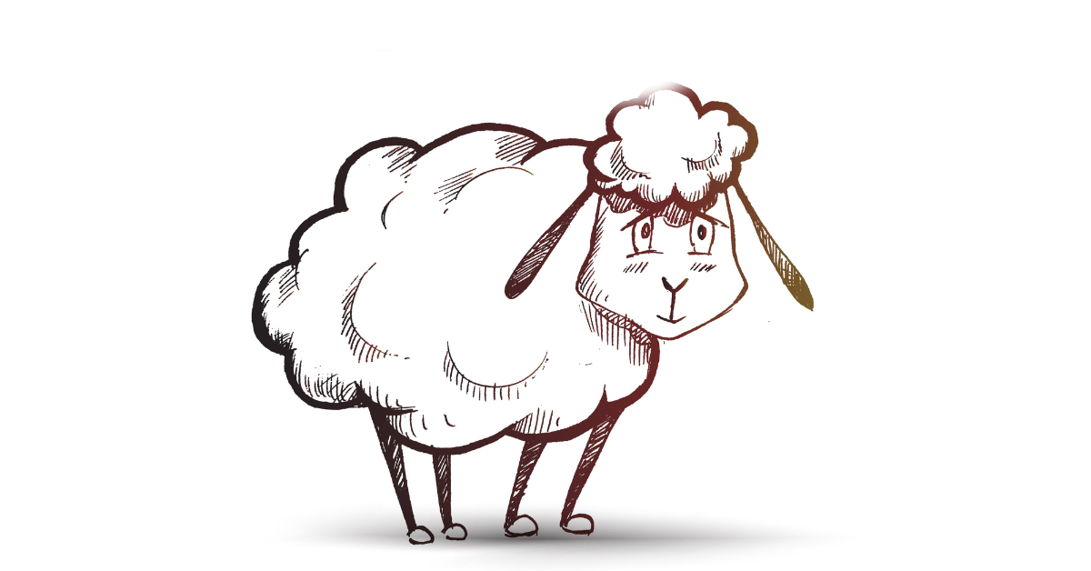 Sheep Puns